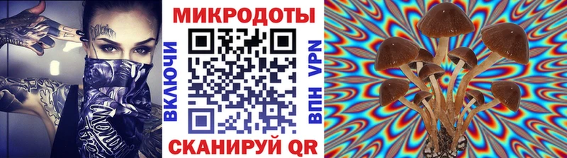 Галлюциногенные грибы прущие грибы  наркошоп  Ковдор 